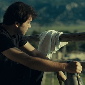 Bilder Asfalt Çiçekleri