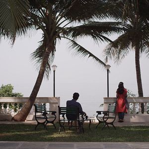 Bilder Traces of Sandalwood