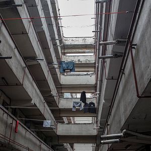 Bilder Hide and Seek - Kein Entkommen