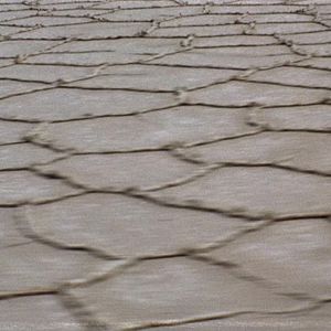 Bilder Die Zeit vergeht wie ein brüllender Löwe