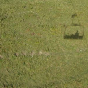 Bilder Die Zeit vergeht wie ein brüllender Löwe