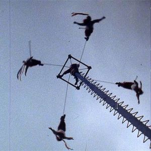 Bilder Die Zeit vergeht wie ein brüllender Löwe