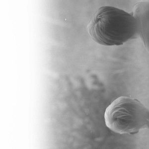 Bilder Die Zeit vergeht wie ein brüllender Löwe