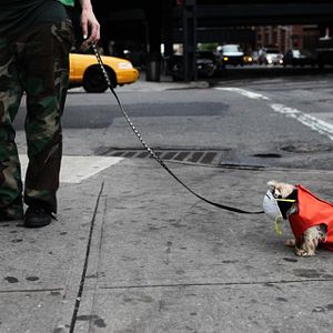 Bilder Seewatchlook , O que você vê quando olha o que enxerga?