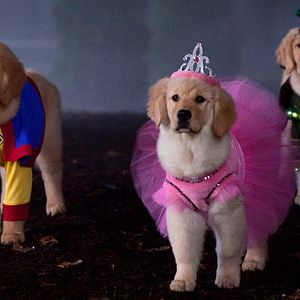 Bilder Spooky Buddies