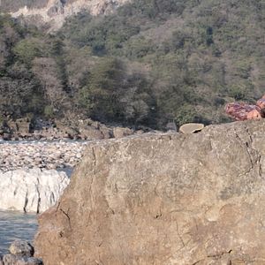 Bilder Good Luck Finding Yourself