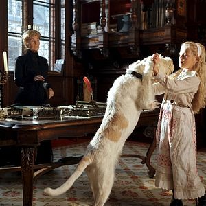 Bilder Die Kleine Lady