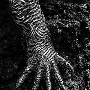 Bilder Das Salz der Erde