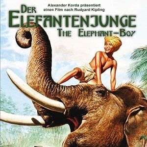 Bilder Der Elefantenjunge