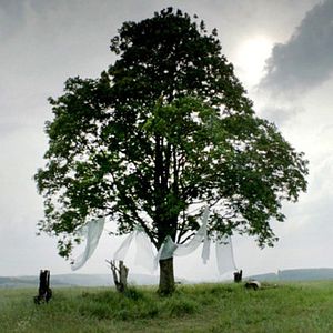 Bilder Never Die Young