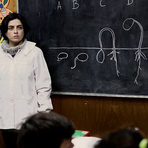 Bilder Natural Sciences