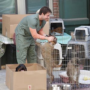 Bilder Ike Barinholtz