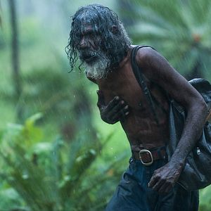 Bilder Charlie's Country