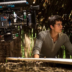 Bilder Dylan O'Brien