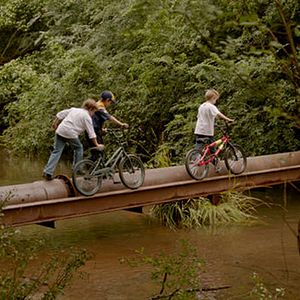 Bilder Devil's Knot - Im Schatten der Wahrheit