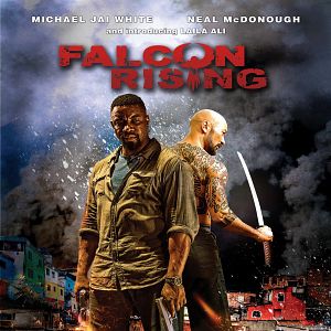 Bilder Falcon Rising