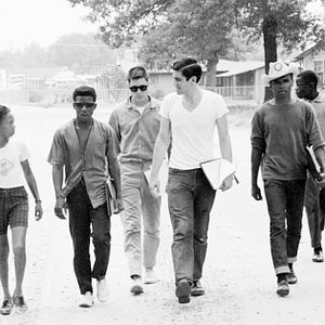 Bilder Freedom Summer