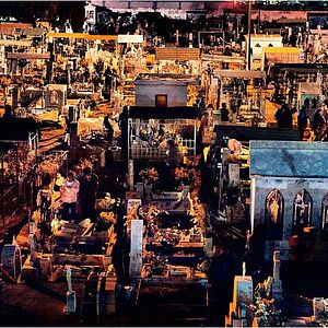 Bilder Dieses schöne Scheißleben