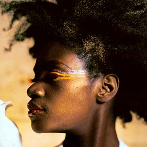 Bilder Through a Lens Darkly: Black Photographers and the Emergence of a People