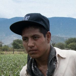 Bilder Mateo Bautista Matías