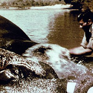 Bilder Indien, Mutter Erde