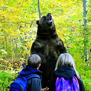 Bilder Kleine Helden, große Wildnis