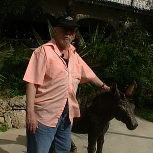 Bilder Llámale Jess Redux