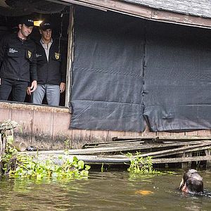 Bilder Navy CIS: New Orleans