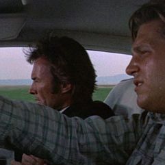 Bilder Die Letzten beißen die Hunde