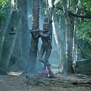 Bilder Vara: A Blessing