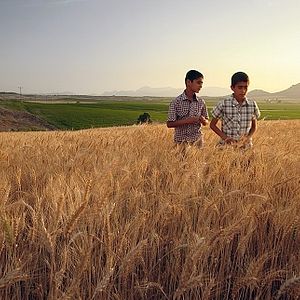 Bilder Biz Babasız Büyüdük