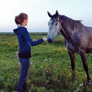 Bilder Von Mädchen und Pferden