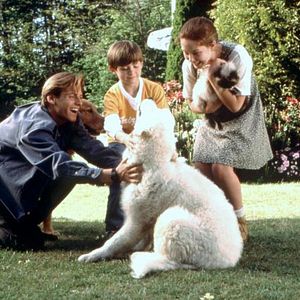 Bilder Ein tierisches Trio - Wieder unterwegs