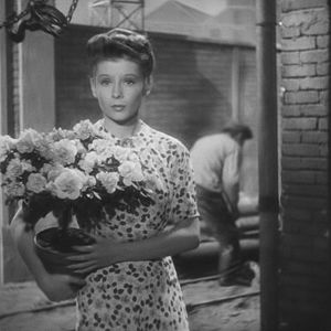 Bilder Der  Tag bricht an