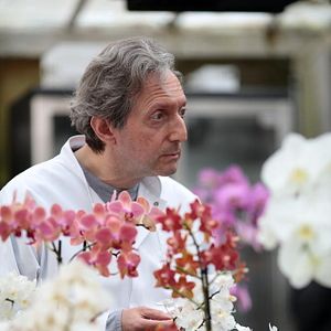 Bilder Profiling Paris