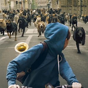 Bilder Zsófia Psotta