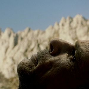 Bilder Journey To The West