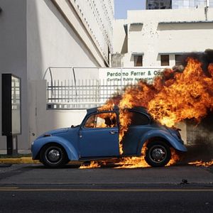 Bilder Falcon Rising