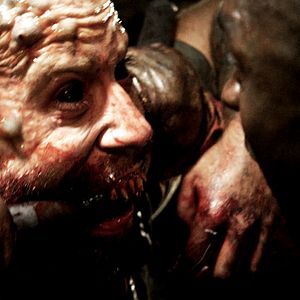 Bilder [Rec]4: Apocalypse