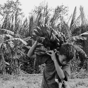 Bilder From What Is Before