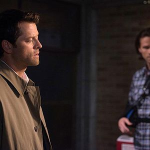 Bilder Misha Collins