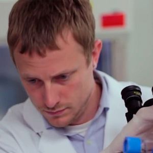 Bilder Do You Really Want to Know?