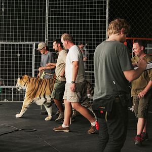 Bilder ROAR – Tigers of Sundarbans