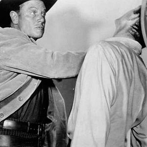 Bilder Von allen Hunden gehetzt