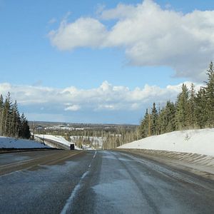Bilder Au cœur de la forêt du Sasquatch