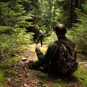 Bilder Au cœur de la forêt du Sasquatch