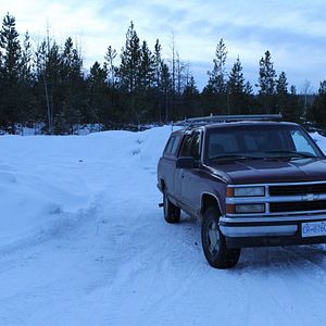 Bilder Au cœur de la forêt du Sasquatch
