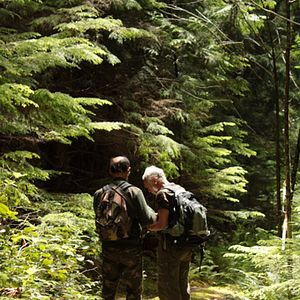 Bilder Au cœur de la forêt du Sasquatch