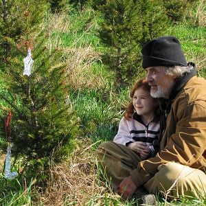 Bilder Ein Weihnachtsbaumwunder