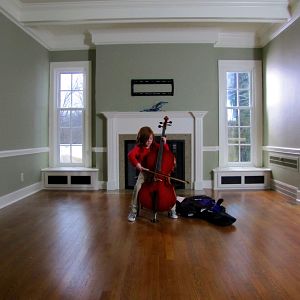 Bilder Ein Weihnachtsbaumwunder